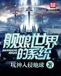 艦娘世界的系統