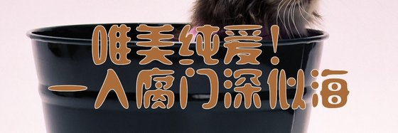 唯美純愛！一入腐門深似海